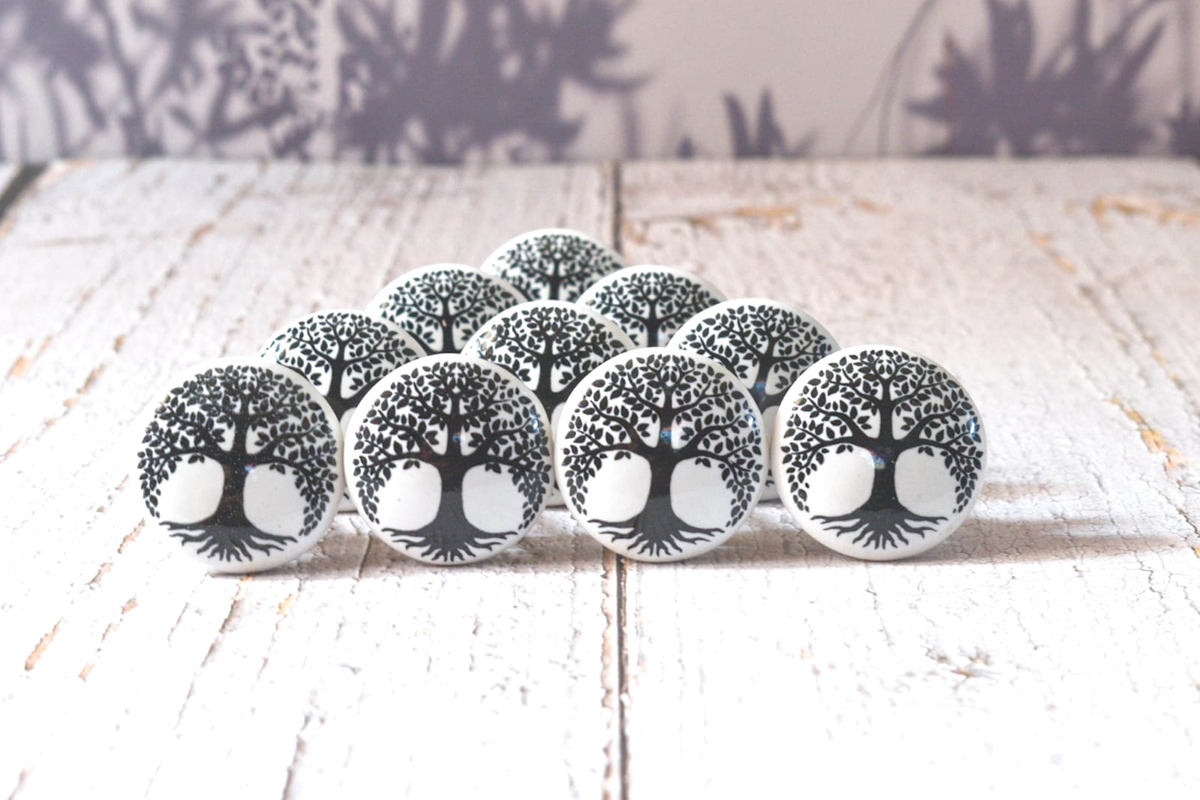 b0b16dd1-3a00-4c0a-9edc-57dc7d1ca892_8d868b1f-2f03-480d-bdcf-7e94ed6e4223-4x